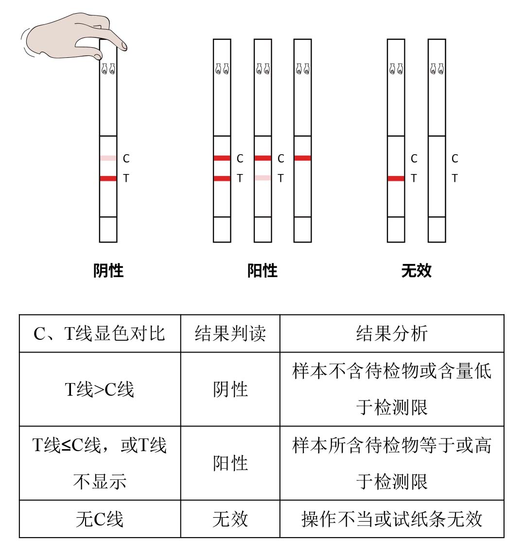 美洛昔康快速檢測(cè)試紙條