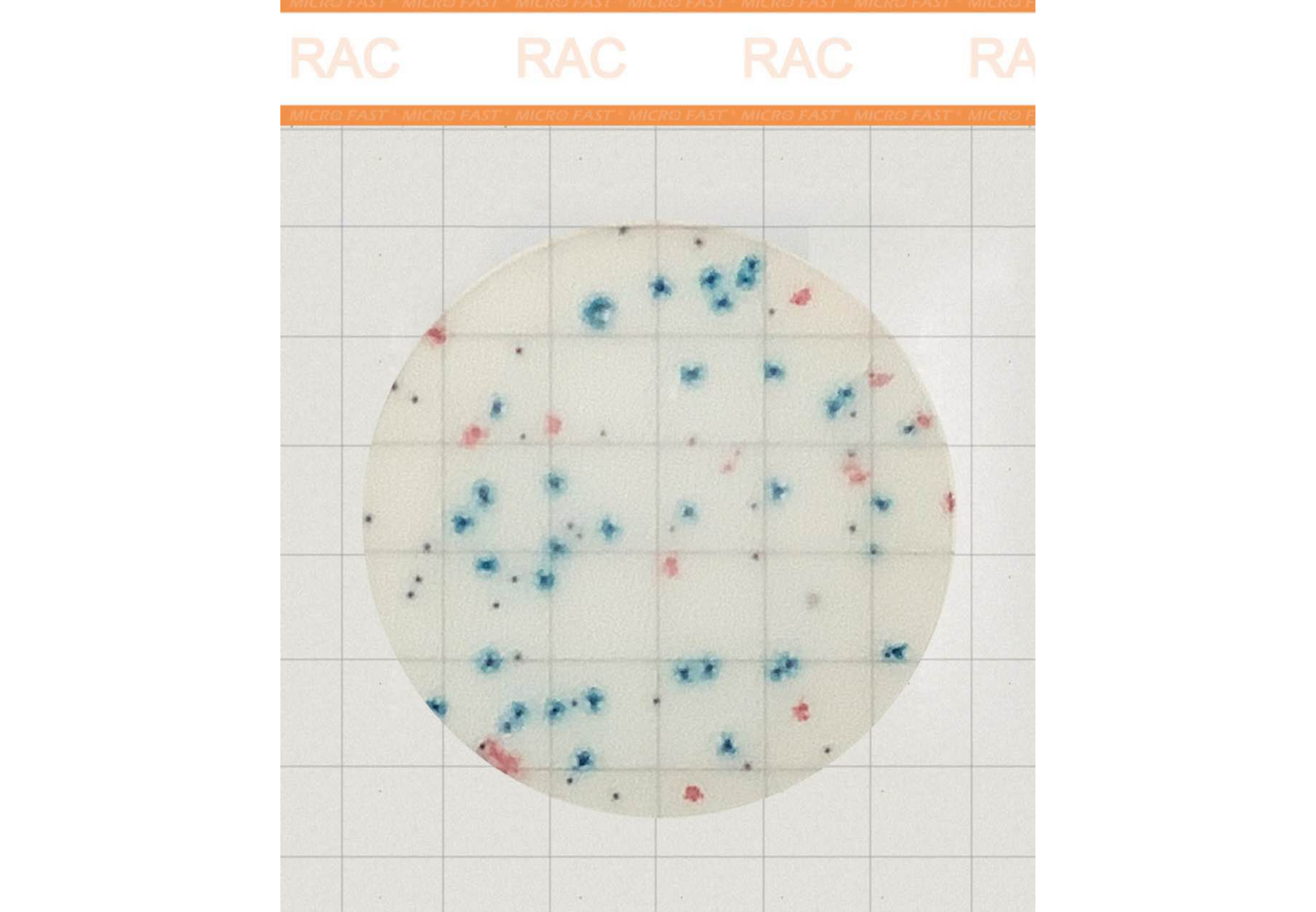 MicroFast Premium Rapid Aerobic Count Plate?